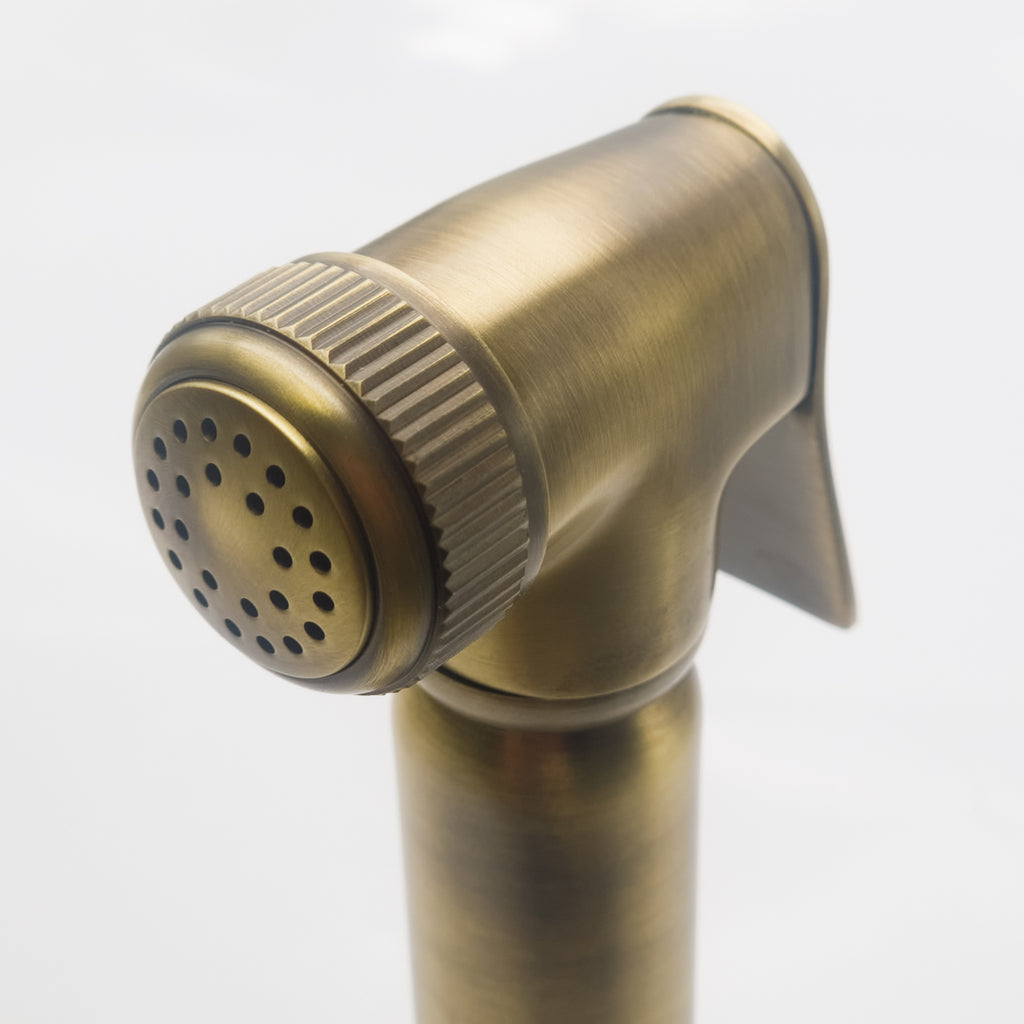 Bidbury & Co Charlbury Pull-Out Spray — Patinated Brass