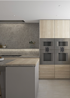 Westin Stratus Titanium 360 Ceiling Hood - image 4