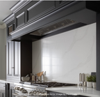 Westin Bloque Pro Built-in Cooker Hood - image 3