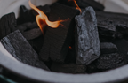 BIG GREEN EGG FIRE STARTING KIT