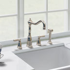 Bidbury & Co Stockwell Kitchen Tap with Rinse — Polished Nickel