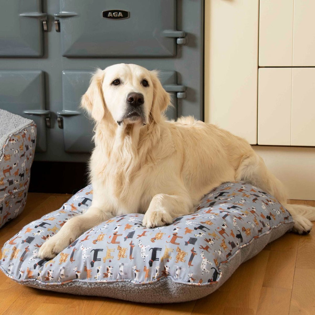 AGA Hot Dogs Pet Cushion