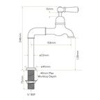 Bidbury & Co Hanford Kitchen Tap